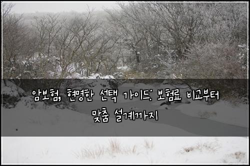 암보험, 현명한 선택 가이드: 보험료 비교부터 맞춤 설계까지