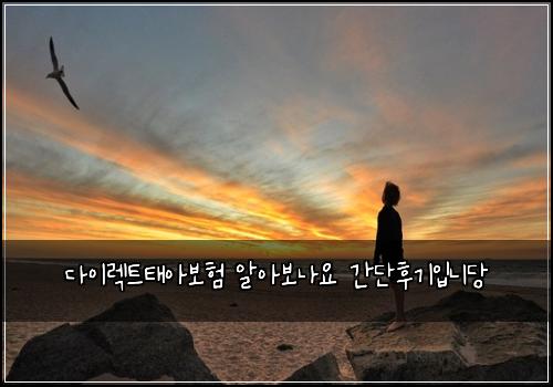 다이렉트태아보험 알아보나요  간단후기입니당