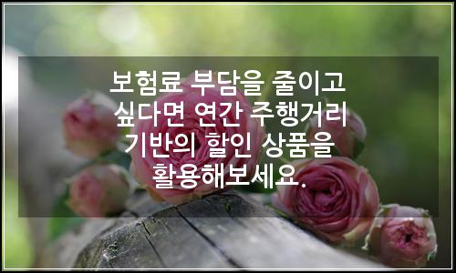 오늘의 이미지