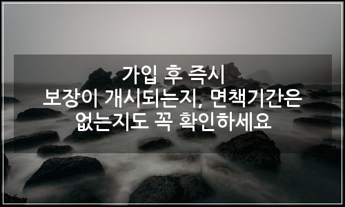 오늘의 이미지