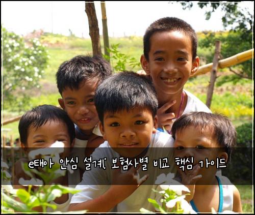 e태아 안심 설계: 보험사별 비교 핵심 가이드