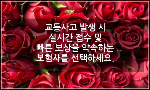오늘의 이미지