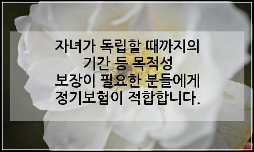 오늘의 이미지