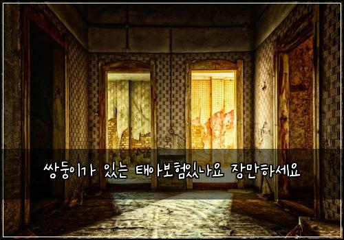 쌍둥이가 있는 태아보험있나요 장만하세요