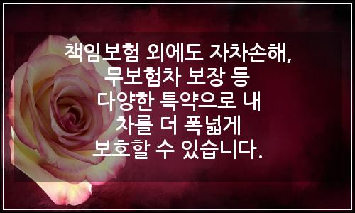 오늘의 이미지