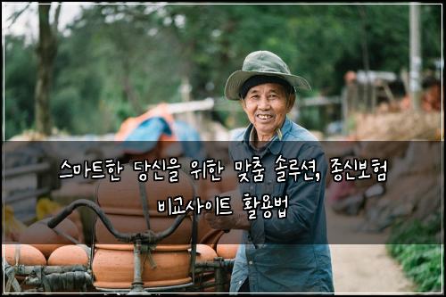  스마트한 당신을 위한 맞춤 솔루션, 종신보험 비교사이트 활용법