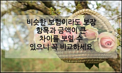 오늘의 이미지