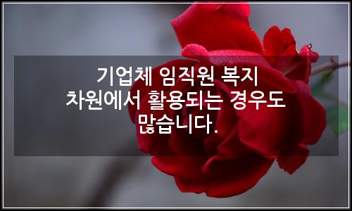 오늘의 이미지