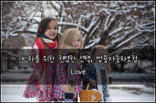  내 차를 위한 현명한 선택, 쌍용자동차보험 Love