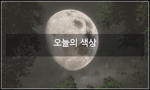 오늘의 이미지