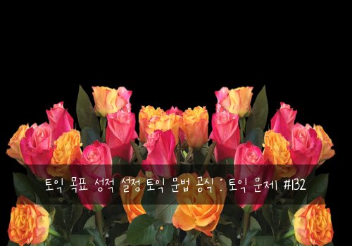 토익 목표 성적 설정 토익 문법 공식 : 토익 문제 #132