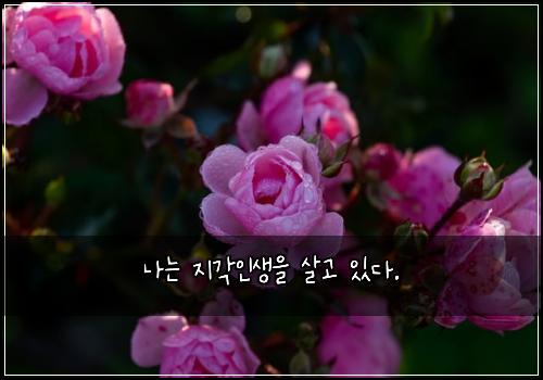 ๋๋ ์ง๊ฐ์ธ์์ ์ด๊ณ ์๋ค.