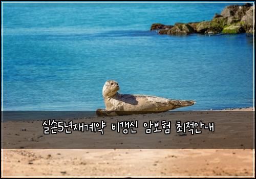 실손5년재계약 비갱신 암보험 최적안내 