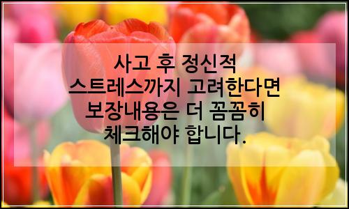 오늘의 이미지