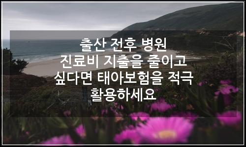 오늘의 이미지