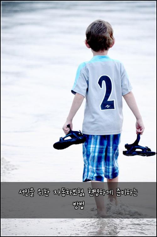 서민을 위한 자동차보험, 현명하게 준비하는 방법