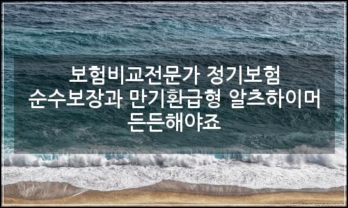 오늘의 이미지
