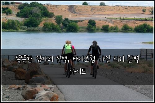  똑똑한 엄마의 선택, 태아보험 가입 시기 완벽 가이드