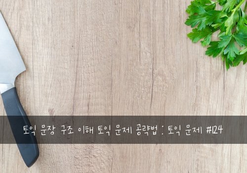 토익 문장 구조 이해 토익 문제 공략법 : 토익 문제 #124