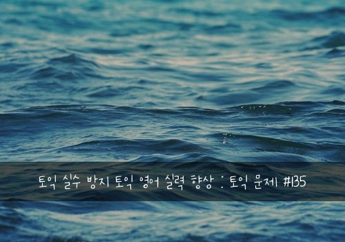 토익 실수 방지 토익 영어 실력 향상 : 토익 문제 #135