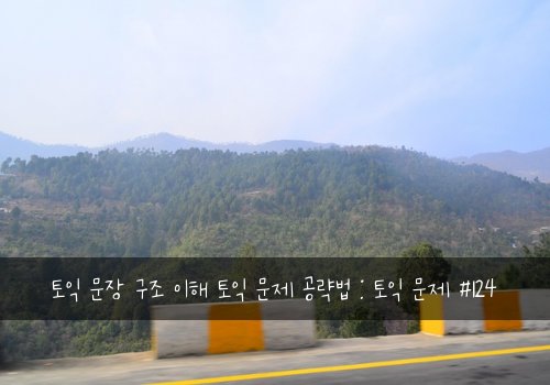 토익 문장 구조 이해 토익 문제 공략법 : 토익 문제 #124