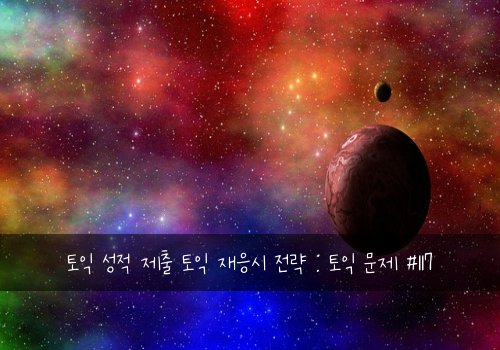 토익 성적 제출 토익 재응시 전략 : 토익 문제 #117