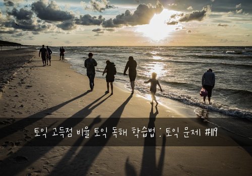 토익 고득점 비율 토익 독해 학습법 : 토익 문제 #119