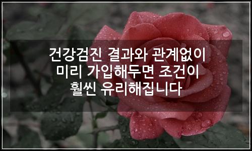 오늘의 이미지
