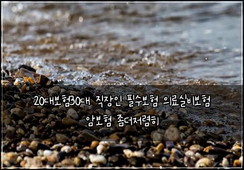 20λ보ν30λ μ§μ₯μΈ νμ보ν μλ£μ€λΉλ³΄ν μ보ν μ’λμ λ ΄ν