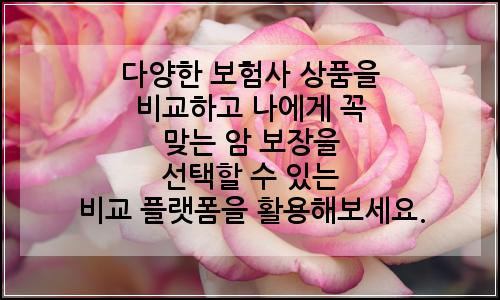 오늘의 이미지