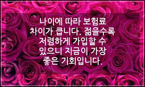 오늘의 이미지