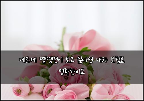 에르제 땡땡전이 보고 싶다면 내차 보험료 명확한비교