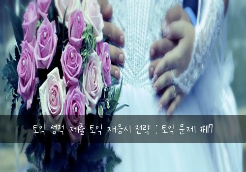 토익 성적 제출 토익 재응시 전략 : 토익 문제 #117