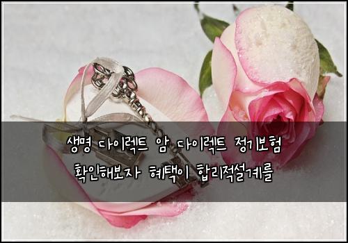 생명 다이렉트 암 다이렉트 정기보험 확인해보자  혜택이 합리적설계를