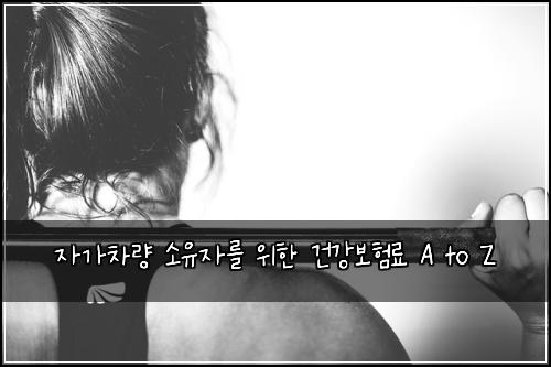 자가차량 소유자를 위한 건강보험료 A to Z