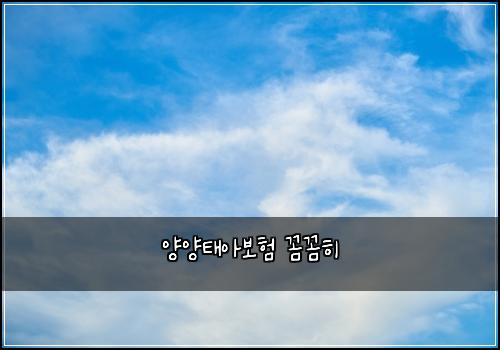 양양태아보험 꼼꼼히 