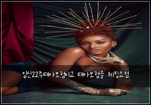 임신22주태아보험비교 태아보험을 체킹요점