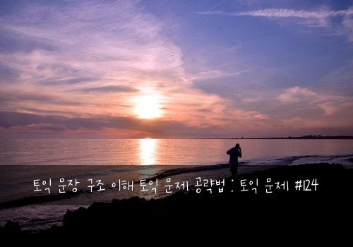 토익 문장 구조 이해 토익 문제 공략법 : 토익 문제 #124