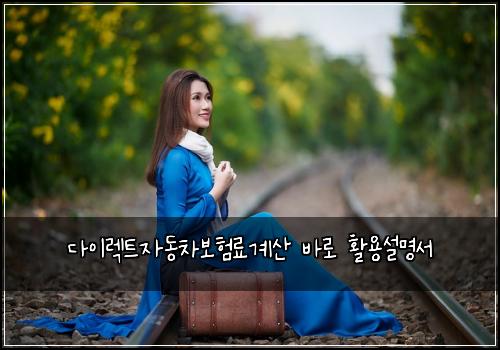 ๋ค์ด๋ ํธ์๋์ฐจ๋ณดํ๋ฃ๊ณ์ฐ ๋ฐ๋ก ํ์ฉ์ค๋ช
์