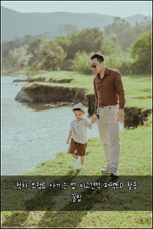 첫차 보험료 아끼는 법: 비교견적 퍼팩트D 활용 꿀팁