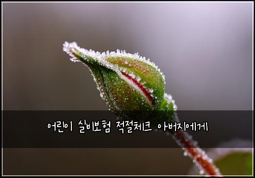 ์ด๋ฆฐ์ด ์ค๋น๋ณดํ ์ ์ ์ฒดํฌ ์๋ฒ์ง์๊ฒ