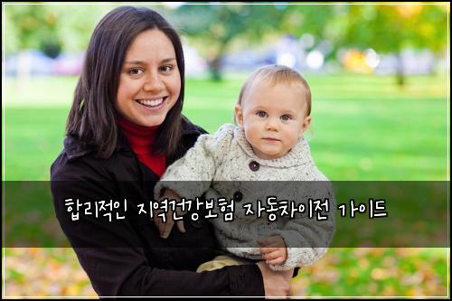  합리적인 지역건강보험 자동차이전 가이드