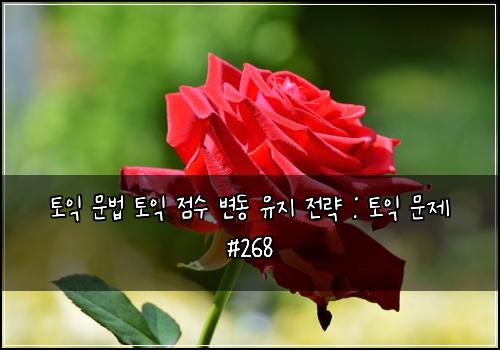 토익 문법 토익 점수 변동 유지 전략 : 토익 문제 #268