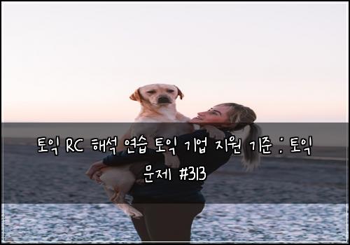 토익 RC 해석 연습 토익 기업 지원 기준 : 토익 문제 #313