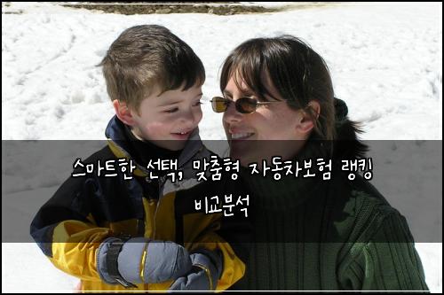  스마트한 선택, 맞춤형 자동차보험 랭킹 비교분석