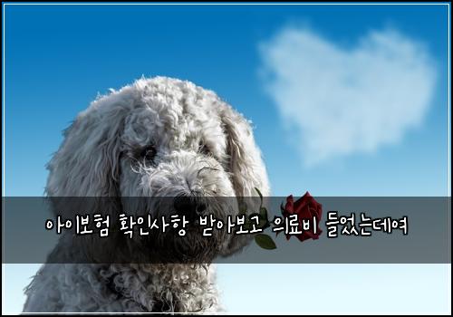 ์์ด๋ณดํ ํ์ธ์ฌํญ ๋ฐ์๋ณด๊ณ ์๋ฃ๋น ๋ค์๋๋ฐ์ฌ