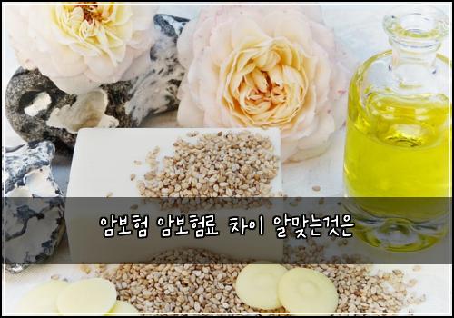 암보험 암보험료 차이 알맞는것은