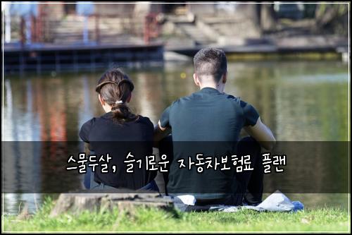  스물두살, 슬기로운 자동차보험료 플랜