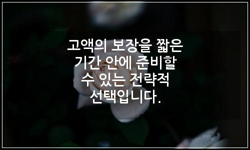 오늘의 이미지