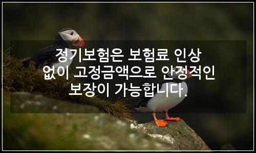 오늘의 이미지
